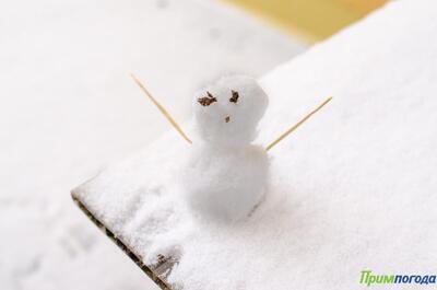 Природа подарит Приморью снег на 14 февраля