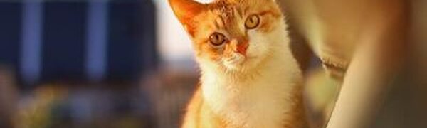 Оттепели ожидаются в Приморье на этой неделе