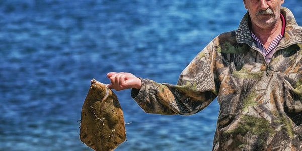 На реках Приморья возможны незначительные подъемы уровня воды на 10 — 30 см