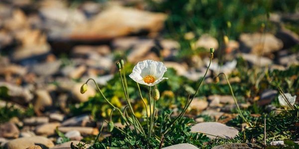В среду жара в Приморье начнёт спадать