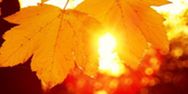 День осеннего равноденствия наступил сегодня