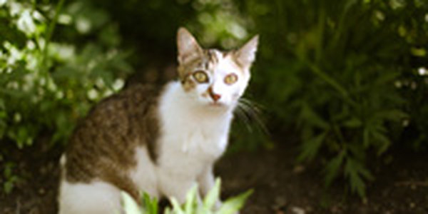 Вторая декада сентября в Приморье выдалась теплой