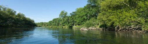 На реках Приморья наблюдается подъём уровней воды