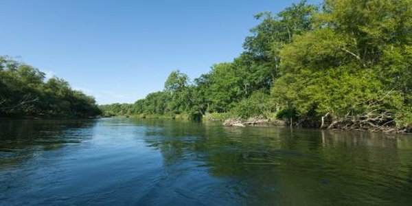 На реках Приморья наблюдается подъём уровней воды