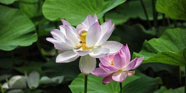 Существенных осадков в Приморье не ожидается в пятницу