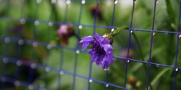 Рабочая неделя началась с кратковременных дождей в Приморье