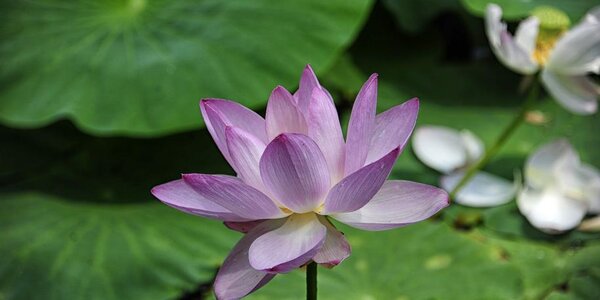 Синоптики рассказали, какая погода ожидает Приморье на выходных