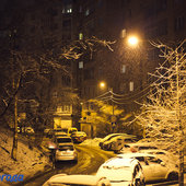 За ночь во Владивостоке выпала декадная норма осадков