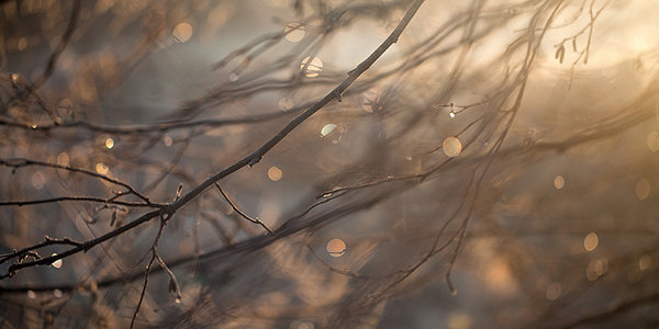В воскресенье в Приморье местами пройдут дожди и мокрый снег