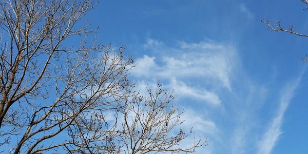 В Приморье ненадолго распогодится