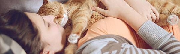 Кошкам всё-таки нравится проводить время с людьми