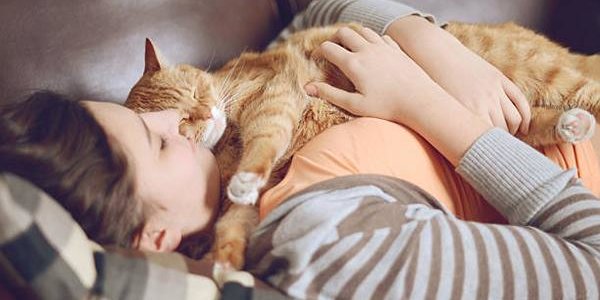 Кошкам всё-таки нравится проводить время с людьми