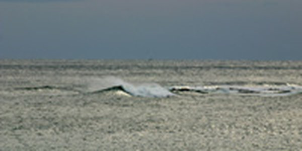 Завтра в Приморье станет еще морознее