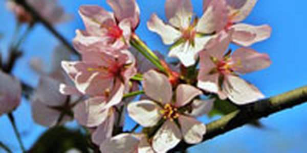 В преддверии выходных приморская погода не согреет своим теплом