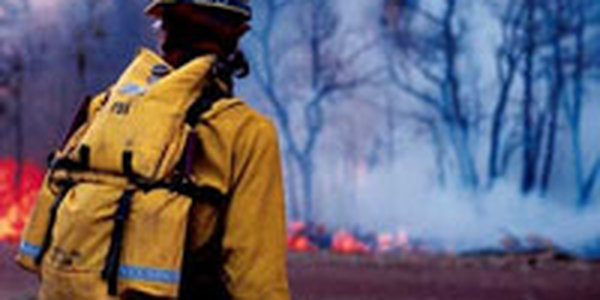 На Дальнем Востоке пожаров нет