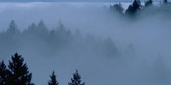 Приморский край ждет прохладная неделя