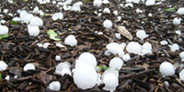 Мощный град обрушился на Краснодарский край