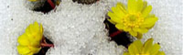 Каким был апрель в Сихотэ-Алинском заповеднике