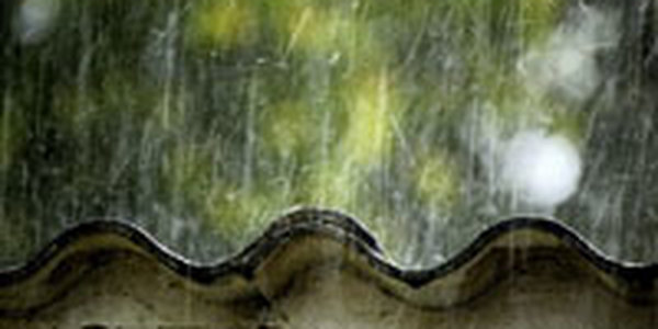 Весна простилась с Приморьем дождями