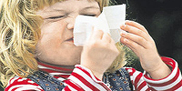 Из-за свиного гриппа медики рекомендуют отказаться от поездок зарубеж