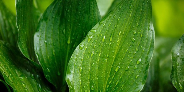 На побережье Приморья улучшения погоды не ожидается