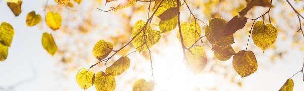 Сентябрь 2014 года стал самым тёплым в истории наблюдений