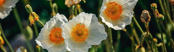 Хорошая погода может заглянуть во Владивосток в воскресенье