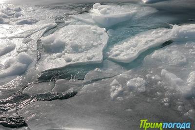Во Владивостоке спасли рыбаков с оторвавшейся льдины