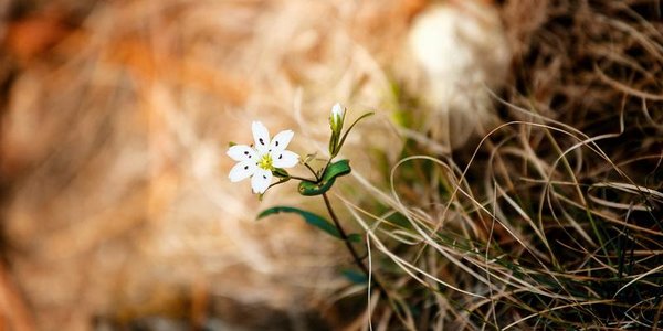 Весне дорогу: прогноз погоды на длинные выходные в Приморье