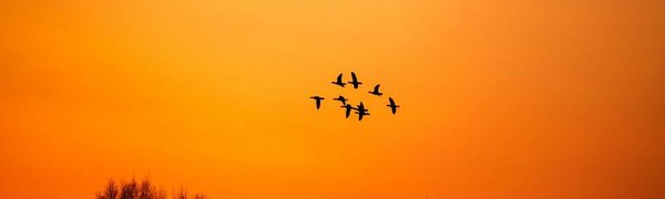 Февраль в Приморье не принёс снега и установил несколько рекордов тепла