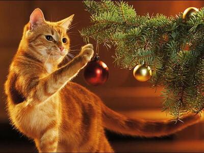 Большинство россиян провожают 2019 год с хорошим настроением