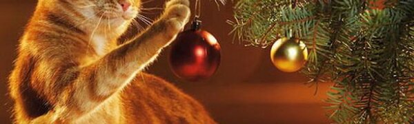 Большинство россиян провожают 2019 год с хорошим настроением