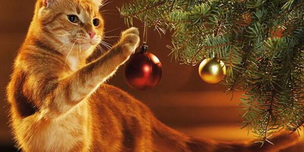 Большинство россиян провожают 2019 год с хорошим настроением