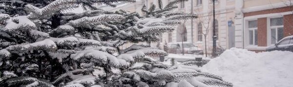 Синоптики рассказали, где искать снег в России