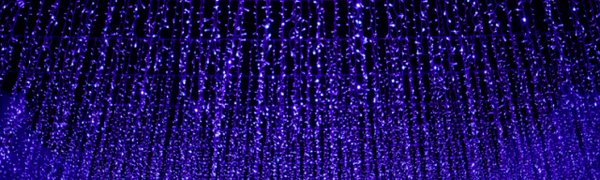 «Звездное небо» засверкало над Владивостоком