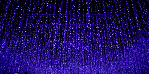 «Звездное небо» засверкало над Владивостоком