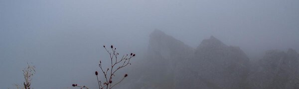 В среду в Приморье будет облачно