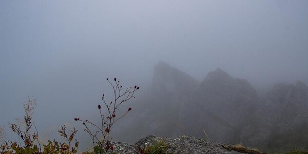В среду в Приморье будет облачно