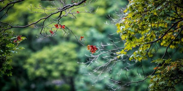 К концу недели ночные температуры в Приморье заметно понизятся