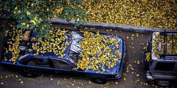 В Приморье в понедельник пройдут дожди, затем похолодает