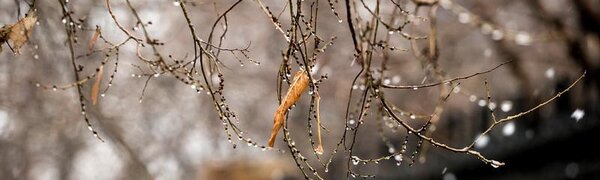 Прогноз сбывается: во Владивостоке начался дождь