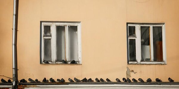 В выходные температура воздуха во Владивостоке будет держаться около 0 °C