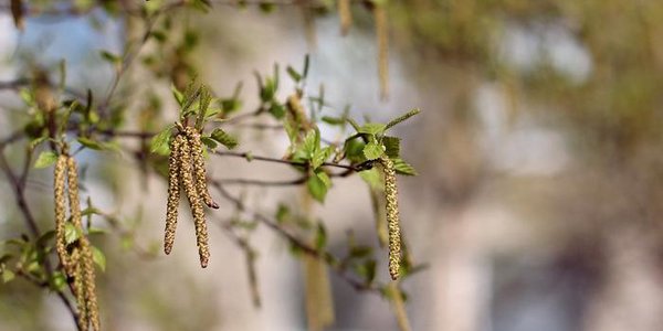 Во вторник погода в Приморье существенно не изменится