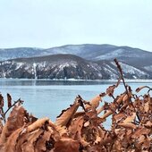 Февраль в Сихотэ-Алинском заповеднике – встречаем весну