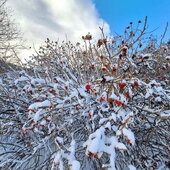 Февраль в Сихотэ-Алинском заповеднике – встречаем весну