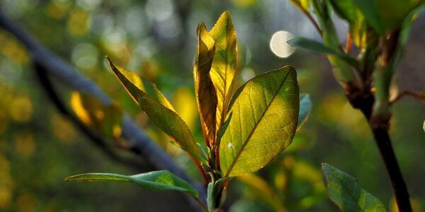 Прошедшие дожди помогли справиться с лесными пожарами в Приморье