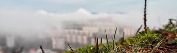 Первый день лета в Приморье оказался холоднее обычного на 1 — 3 градуса