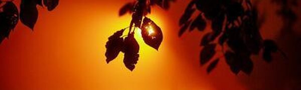 Прохладная погода сохраняется в Приморье