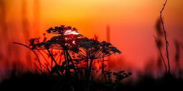 Переменчивая погода была на последних выходных весны в Приморье