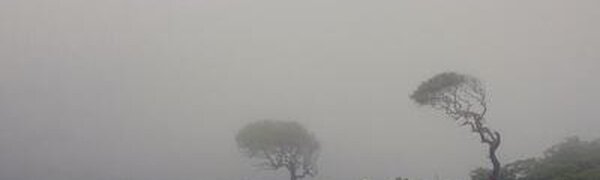 Прохладная погода ожидается в Приморье в первые выходные лета